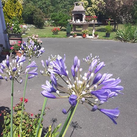 Les Hirondelles Du Paradis 6 Rue Des Oiseaux Bed & Breakfast Beaulieu-sur-Sonnette Bagian luar foto