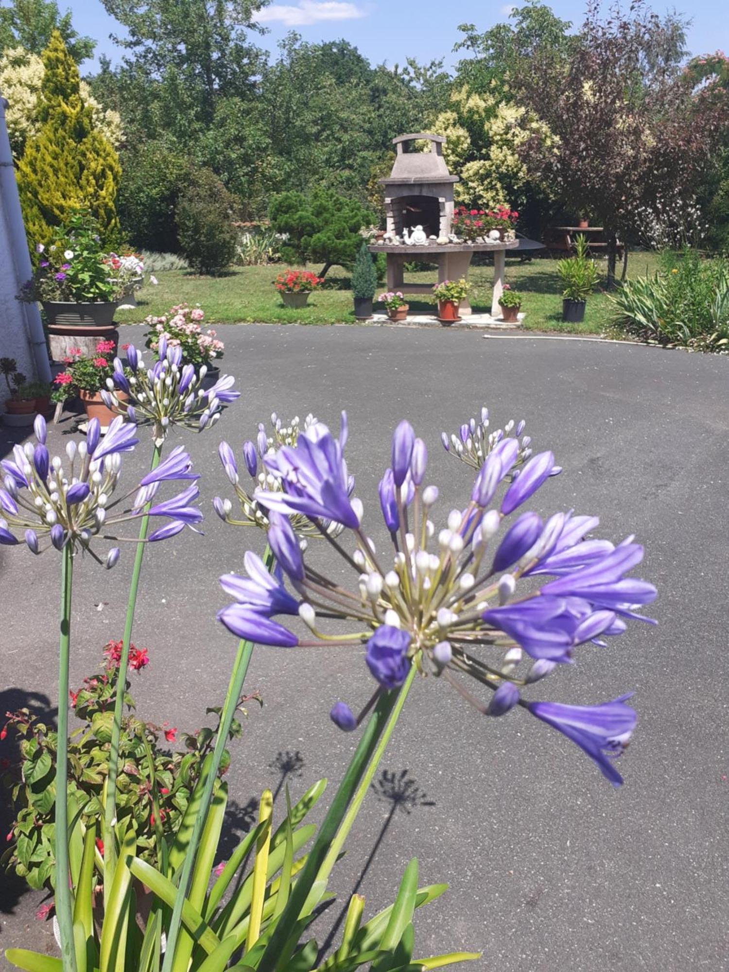 Les Hirondelles Du Paradis 6 Rue Des Oiseaux Bed & Breakfast Beaulieu-sur-Sonnette Bagian luar foto